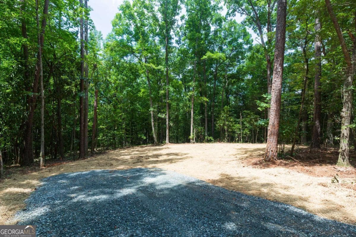 3 bedroom, 2 bathroom manufactured home,single family residence for sale at 0 Roosevelt Highway, Warm Springs, GA 31830 — photo 7