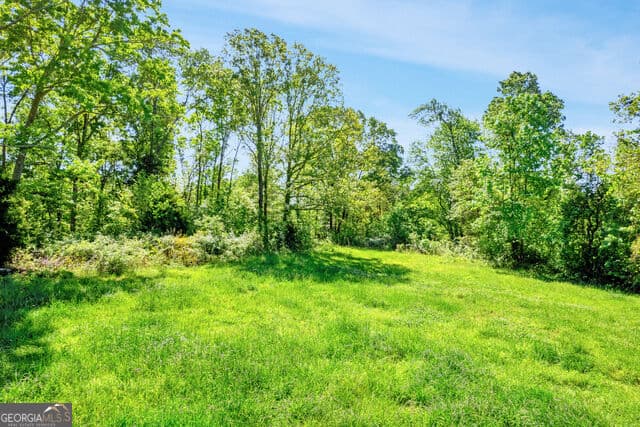 agriculture for sale at 640 Goose Neck Rd, Eastanollee, GA 30538 — photo 2