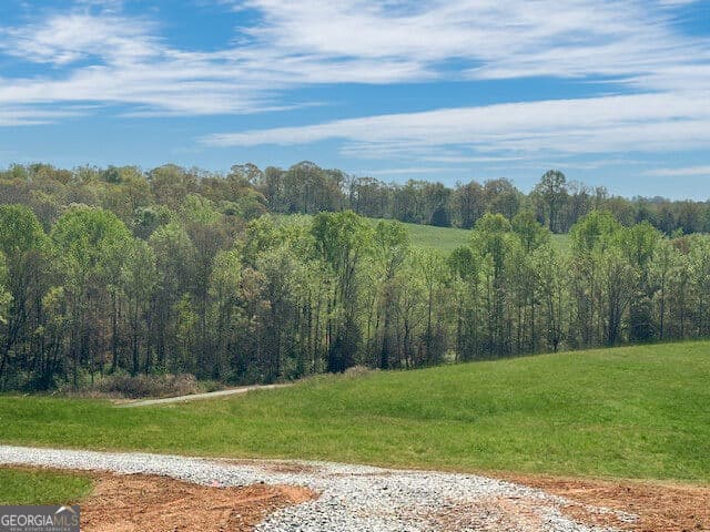 agriculture for sale at 640 Goose Neck Rd, Eastanollee, GA 30538 — photo 6