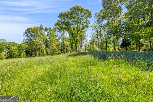 agriculture for sale at 640 Goose Neck Rd, Eastanollee, GA 30538