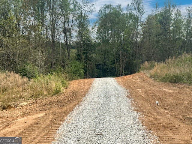 agriculture for sale at 640 Goose Neck Rd, Eastanollee, GA 30538 — photo 5