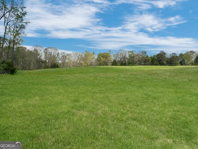 agriculture for sale at 640 Goose Neck Rd, Eastanollee, GA 30538 — photo 9