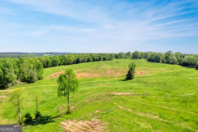 agriculture for sale at 640 Goose Neck Rd, Eastanollee, GA 30538 — photo 4