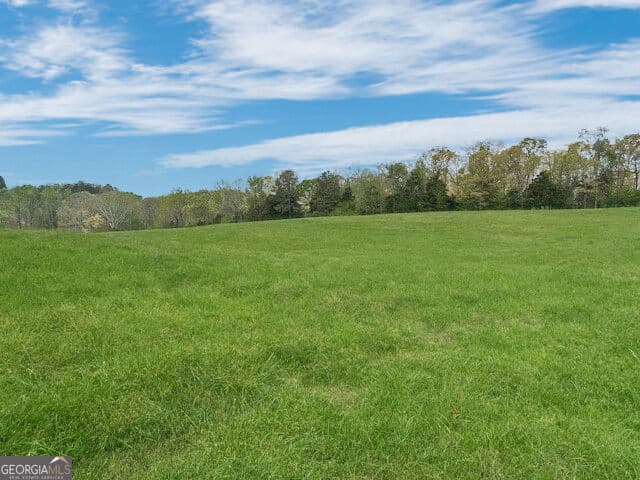 agriculture for sale at 640 Goose Neck Rd, Eastanollee, GA 30538 — photo 8