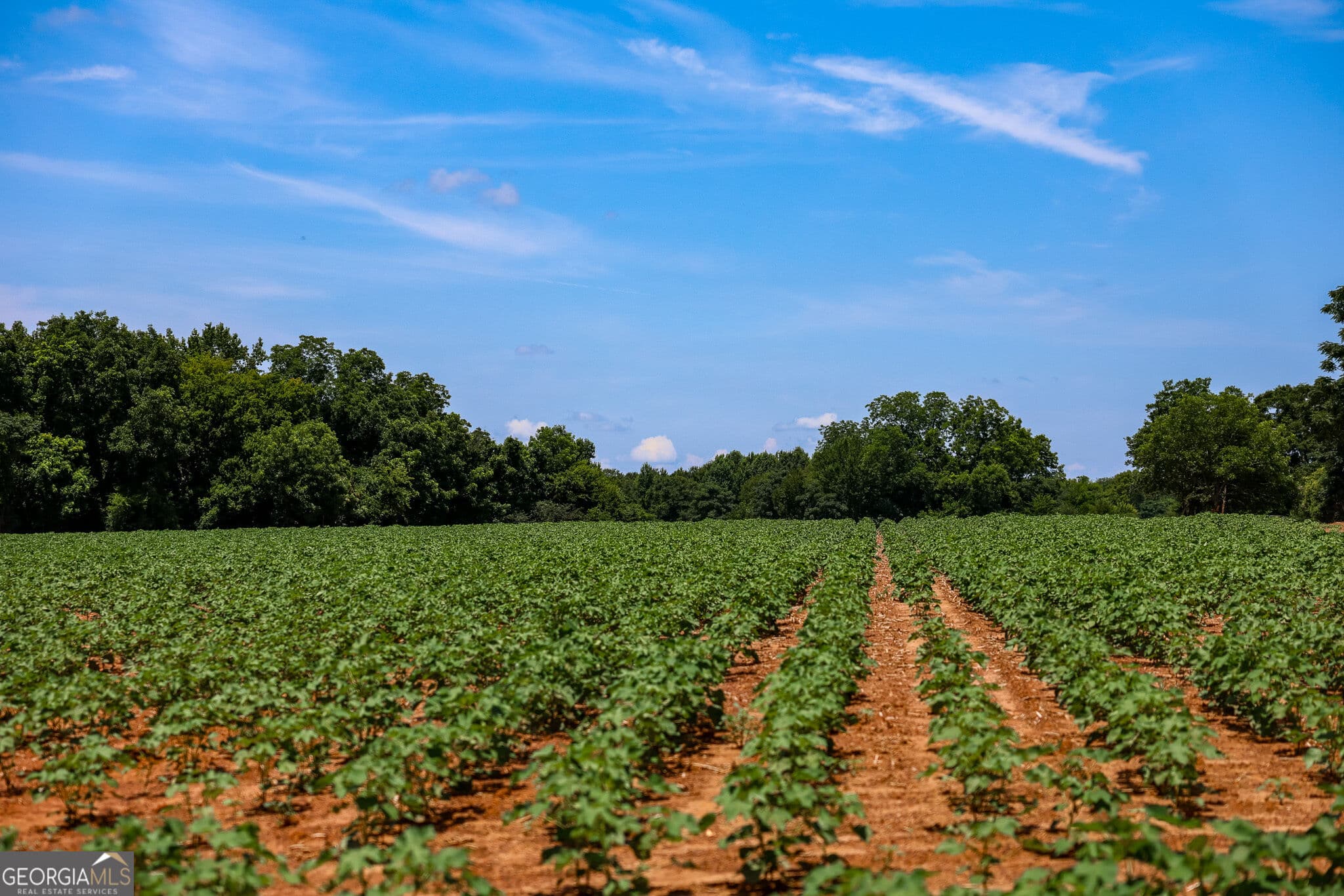 agriculture under contract at 2 Fern Street, Edison, GA 39846