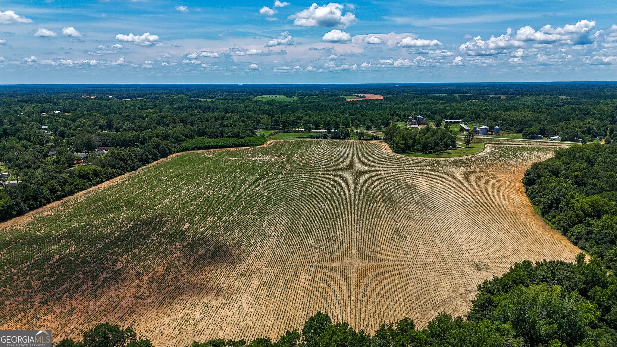 agriculture under contract at 2 Fern Street, Edison, GA 39846 — photo 5
