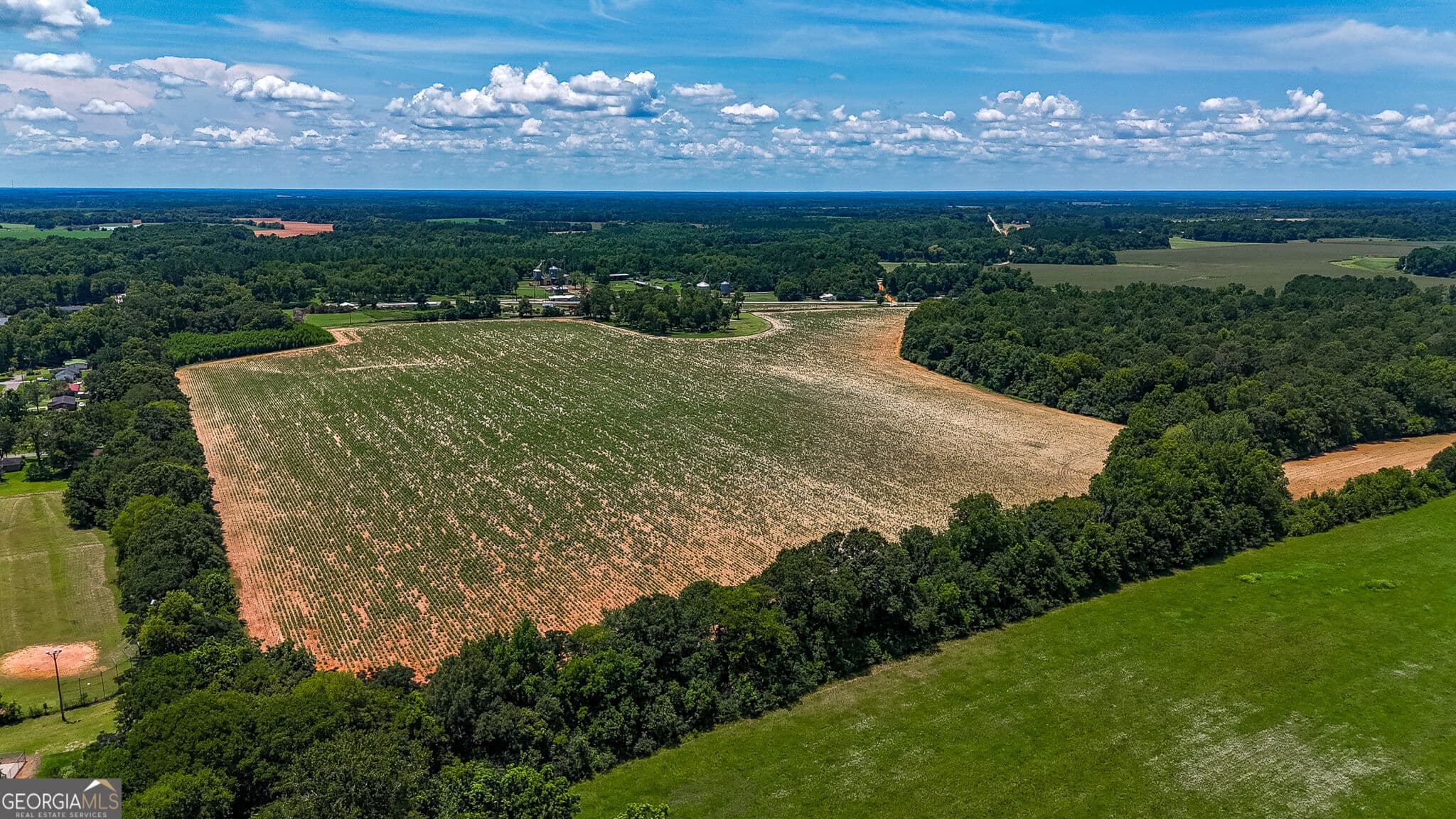 agriculture under contract at 2 Fern Street, Edison, GA 39846 — photo 4