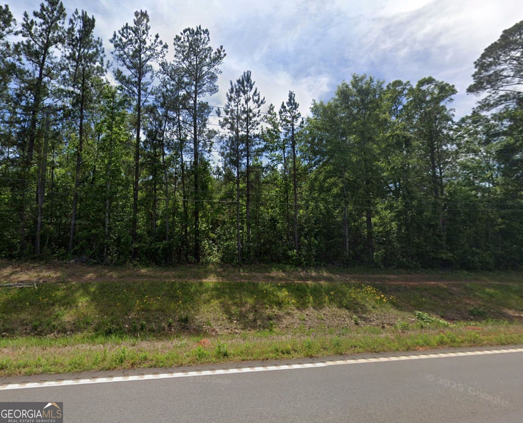 unimproved land for sale at 654 212 Highway, Milledgeville, GA 31061 — photo 2