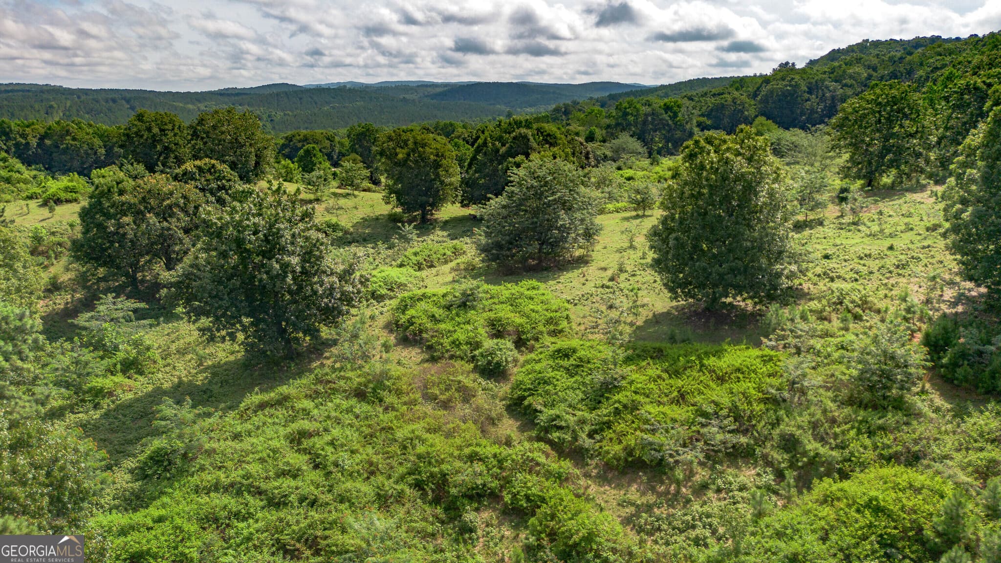 residential lot for sale at 5967 County Road 19 LOT 1, Heflin, AL 36264 — photo 7