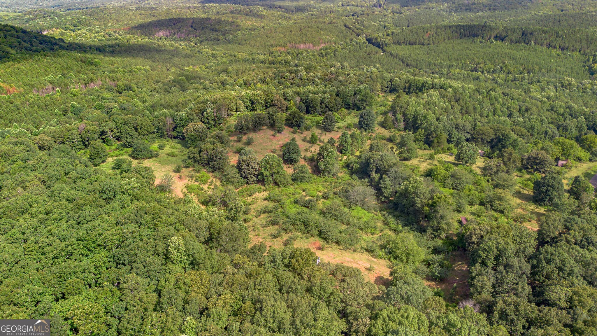 residential lot for sale at 5967 County Road 19 LOT 1, Heflin, AL 36264 — photo 5