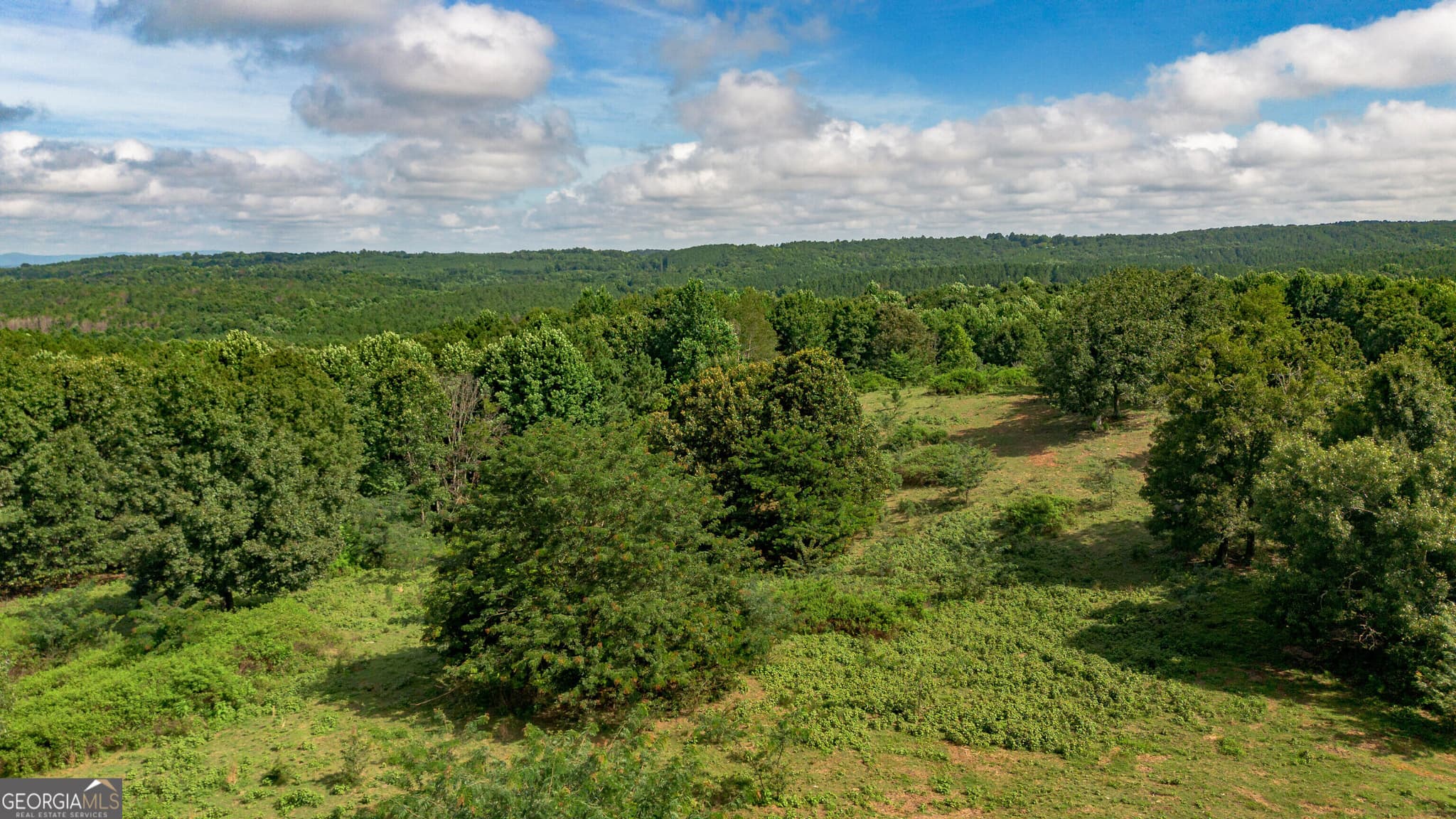 residential lot for sale at 5967 County Road 19 LOT 1, Heflin, AL 36264 — photo 8