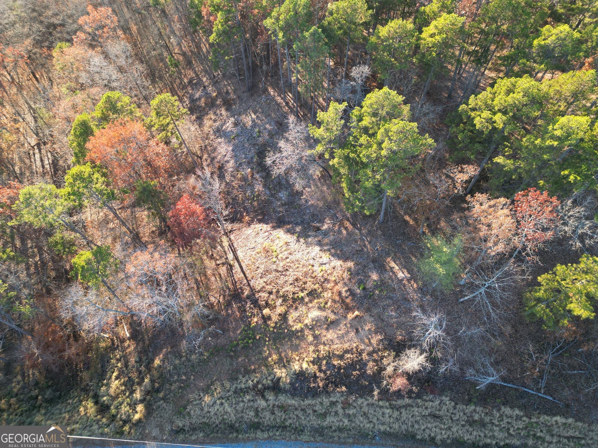 residential lot for sale at 0 Canoe Way LOT 266, Talking Rock, GA 30175 — photo 7
