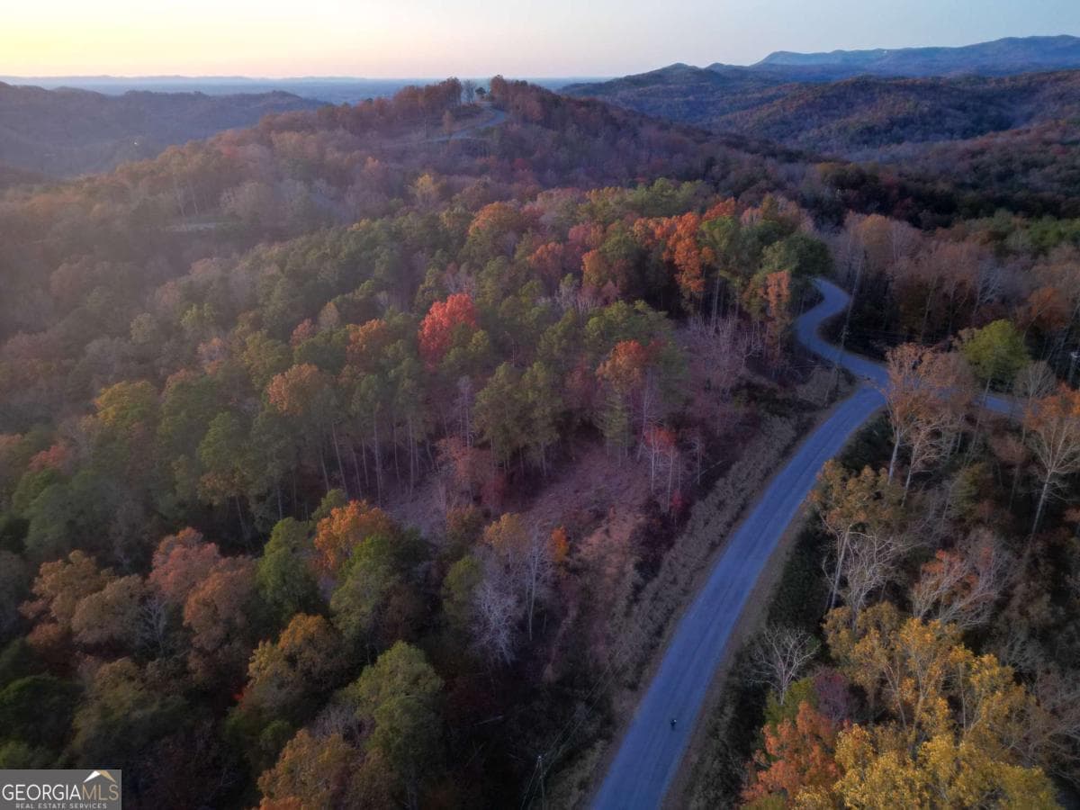 residential lot for sale at 0 Canoe Way LOT 266, Talking Rock, GA 30175 — photo 3