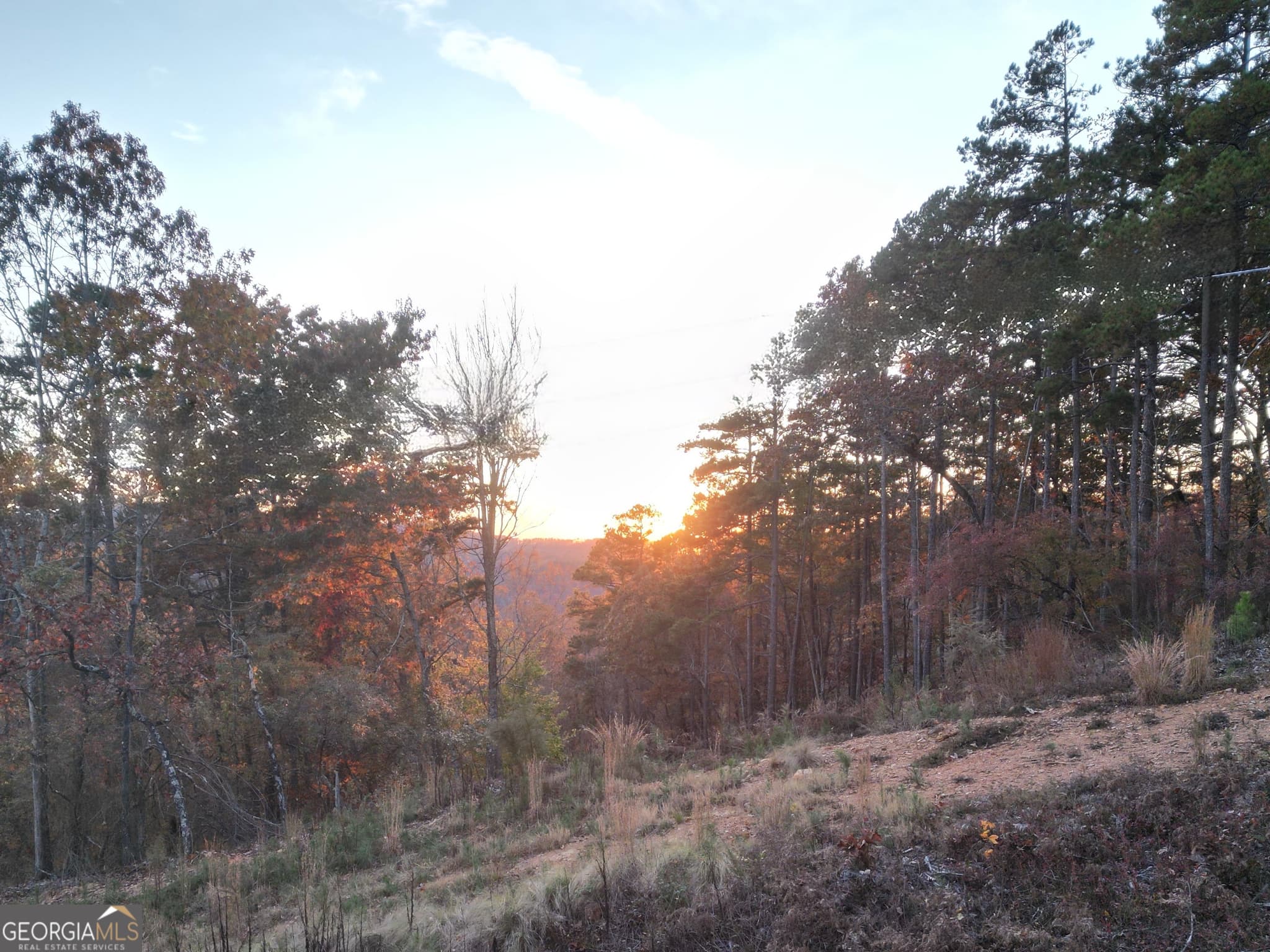 residential lot for sale at 0 Canoe Way LOT 266, Talking Rock, GA 30175 — photo 1 of 15