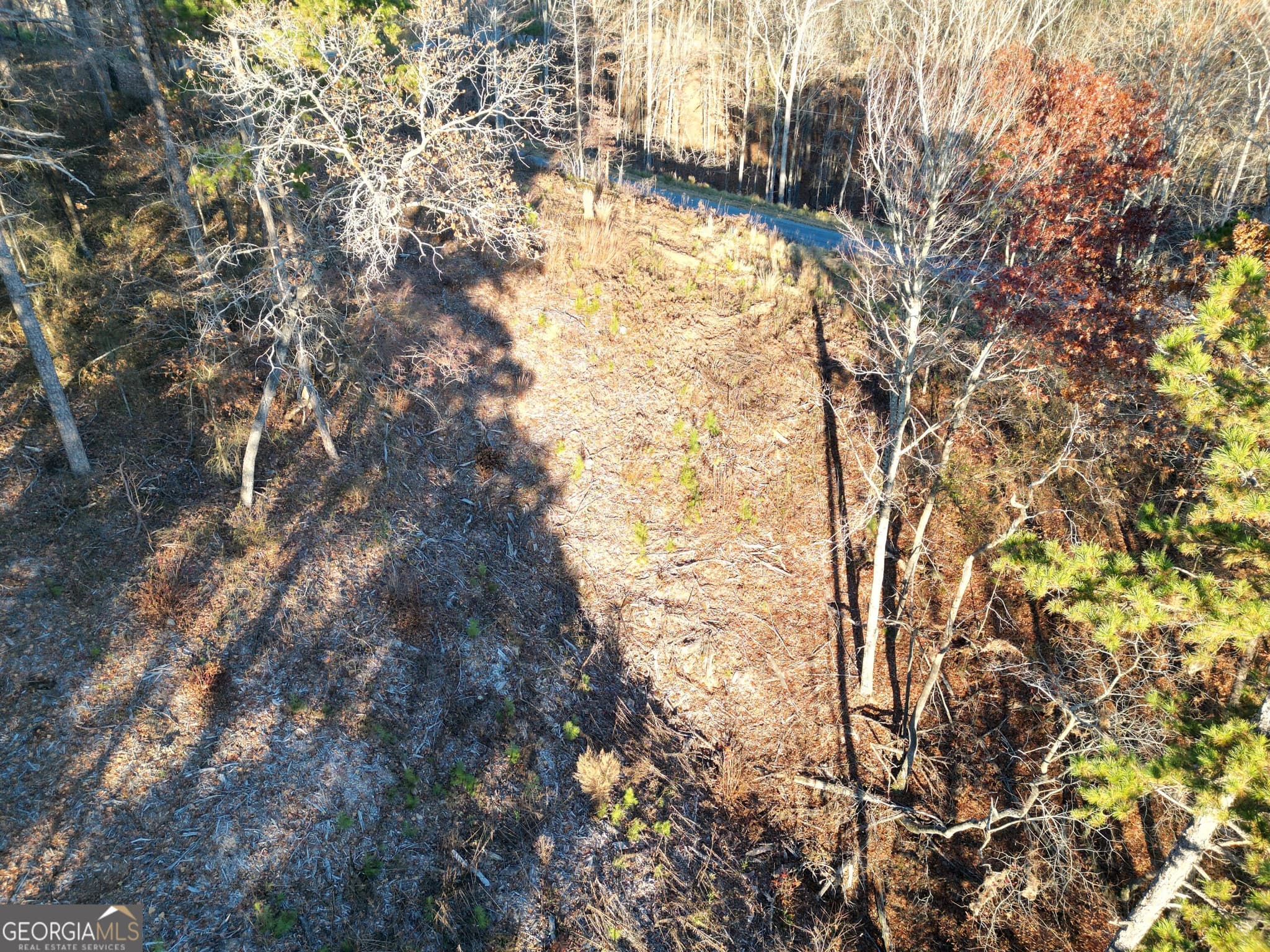 residential lot for sale at 0 Canoe Way LOT 266, Talking Rock, GA 30175 — photo 5