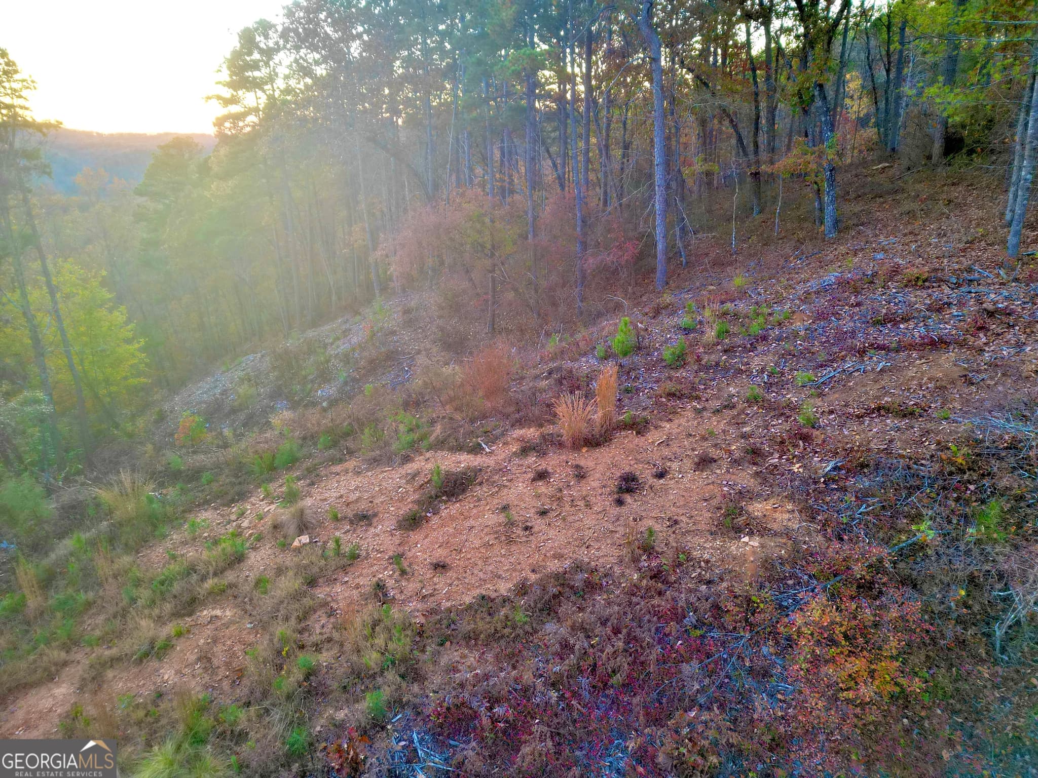 residential lot for sale at 0 Canoe Way LOT 266, Talking Rock, GA 30175 — photo 4
