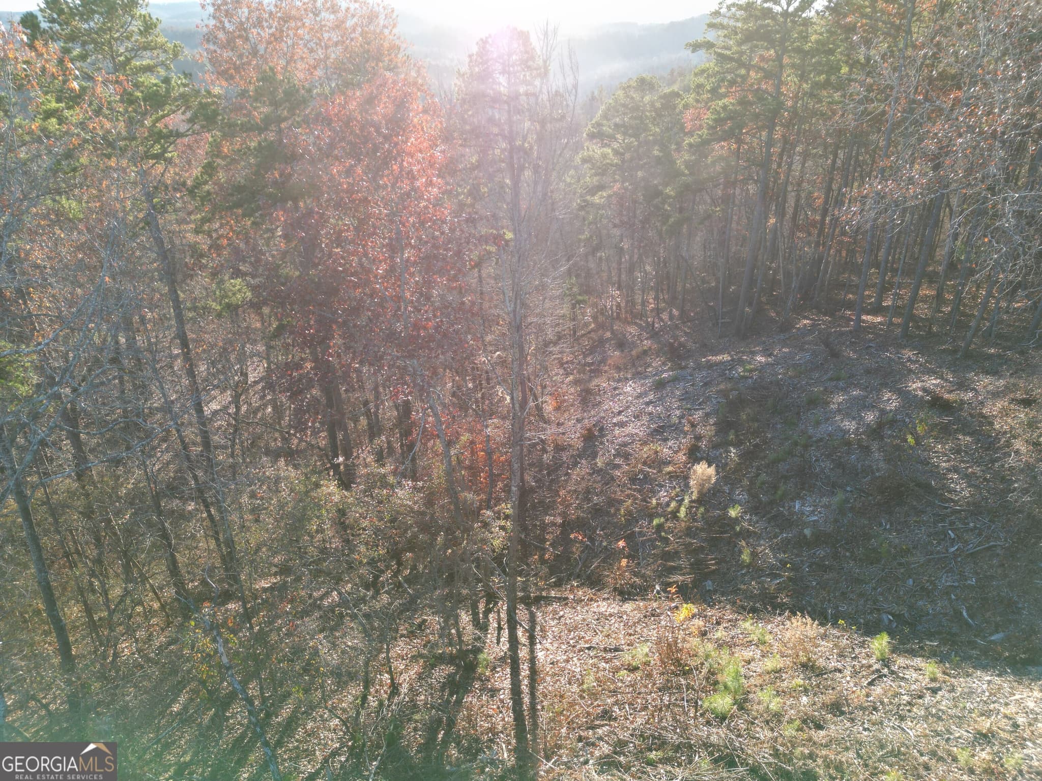 residential lot for sale at 0 Canoe Way LOT 266, Talking Rock, GA 30175 — photo 8