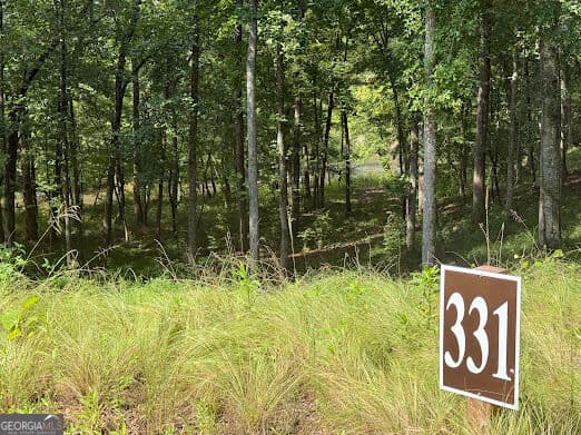 residential lot for sale at 331 Rushing River Road, Talking Rock, GA 30175 — photo 2