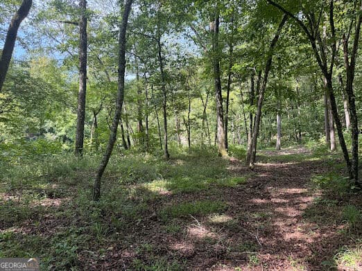 residential lot for sale at 331 Rushing River Road, Talking Rock, GA 30175 — photo 7