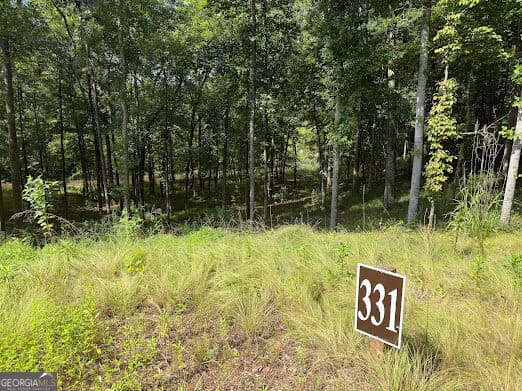 residential lot for sale at 331 Rushing River Road, Talking Rock, GA 30175 — photo 3