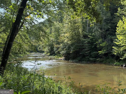 residential lot for sale at 331 Rushing River Road, Talking Rock, GA 30175 — photo 1 of 14