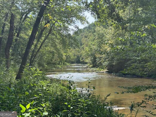 residential lot for sale at 331 Rushing River Road, Talking Rock, GA 30175 — photo 5