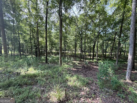 residential lot for sale at 331 Rushing River Road, Talking Rock, GA 30175 — photo 9