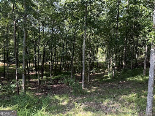 residential lot for sale at 331 Rushing River Road, Talking Rock, GA 30175 — photo 10