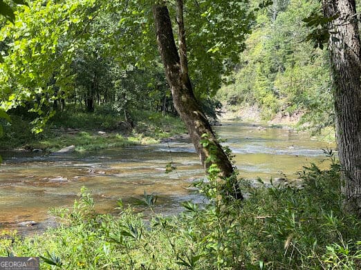 residential lot for sale at 331 Rushing River Road, Talking Rock, GA 30175 — photo 4