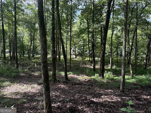 residential lot for sale at 331 Rushing River Road, Talking Rock, GA 30175 — photo 8