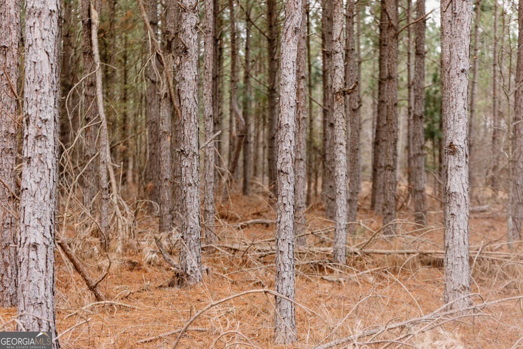 agriculture for sale at 0 Bunn Store Road TRACT 2, Midville, GA 30441 — photo 6
