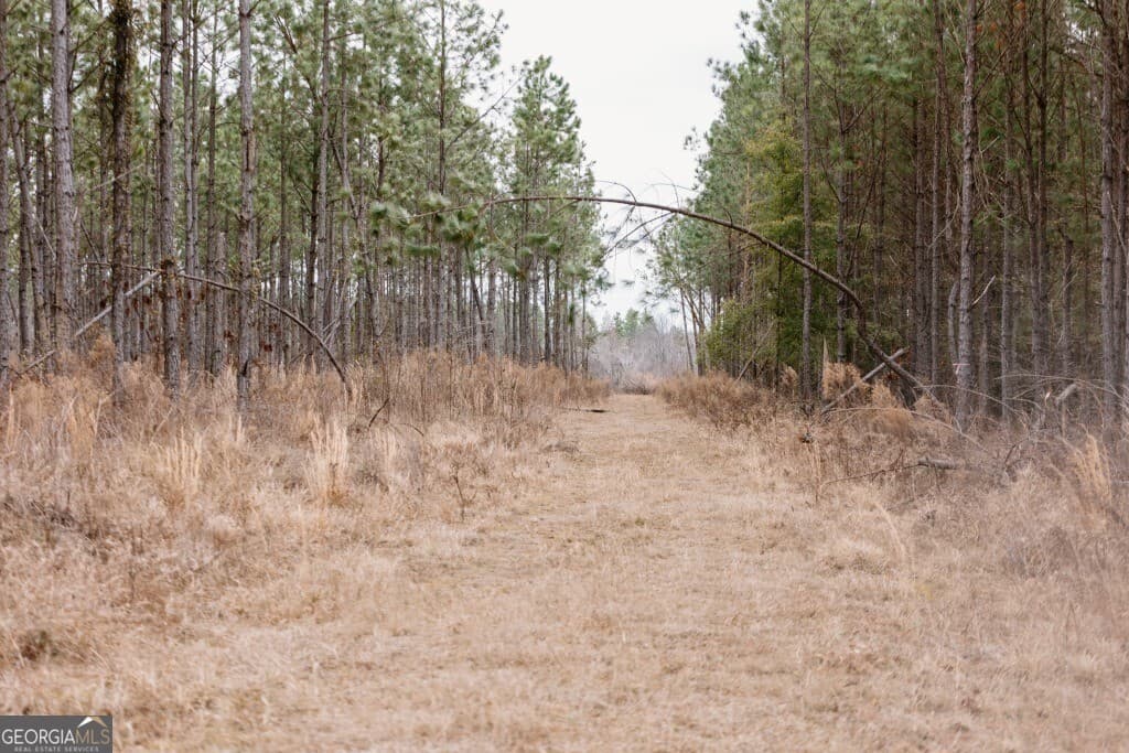 agriculture for sale at 0 Bunn Store Road TRACT 2, Midville, GA 30441 — photo 7