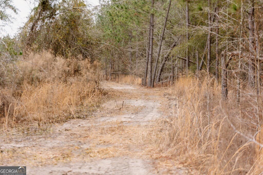 agriculture for sale at 0 Bunn Store Road TRACT 2, Midville, GA 30441
