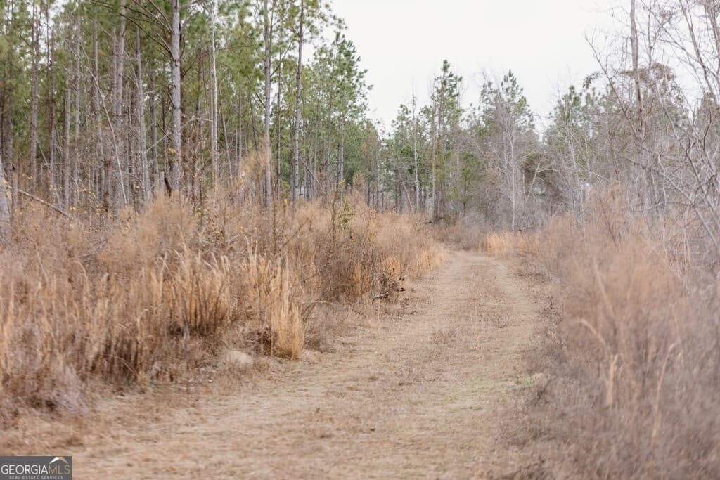 agriculture for sale at 0 Bunn Store Road TRACT 2, Midville, GA 30441 — photo 5