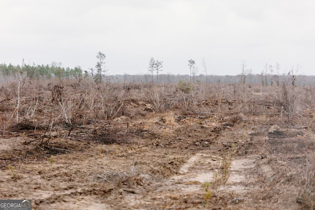 agriculture for sale at 0 Bunn Store Road TRACT 2, Midville, GA 30441 — photo 9