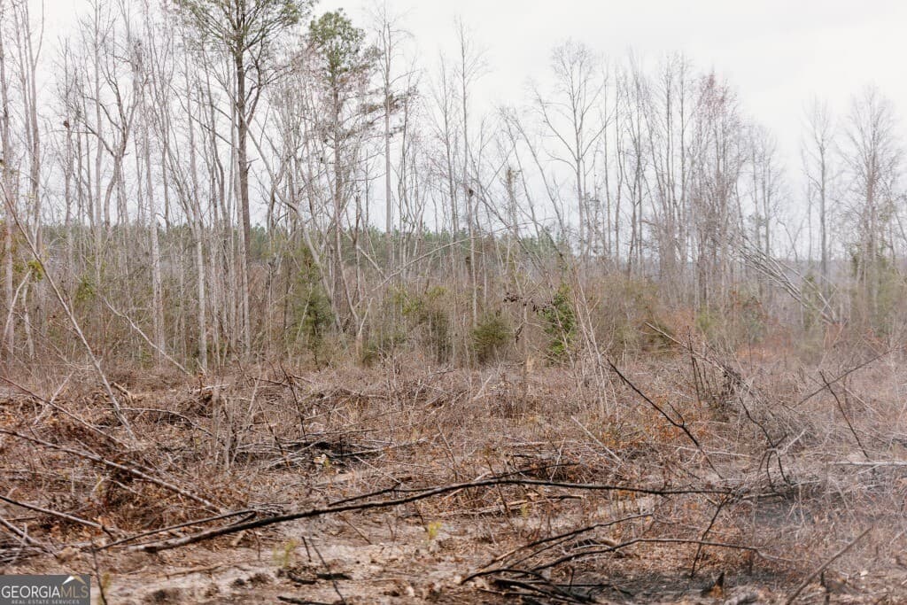 agriculture for sale at 0 Bunn Store Road TRACT 2, Midville, GA 30441 — photo 10