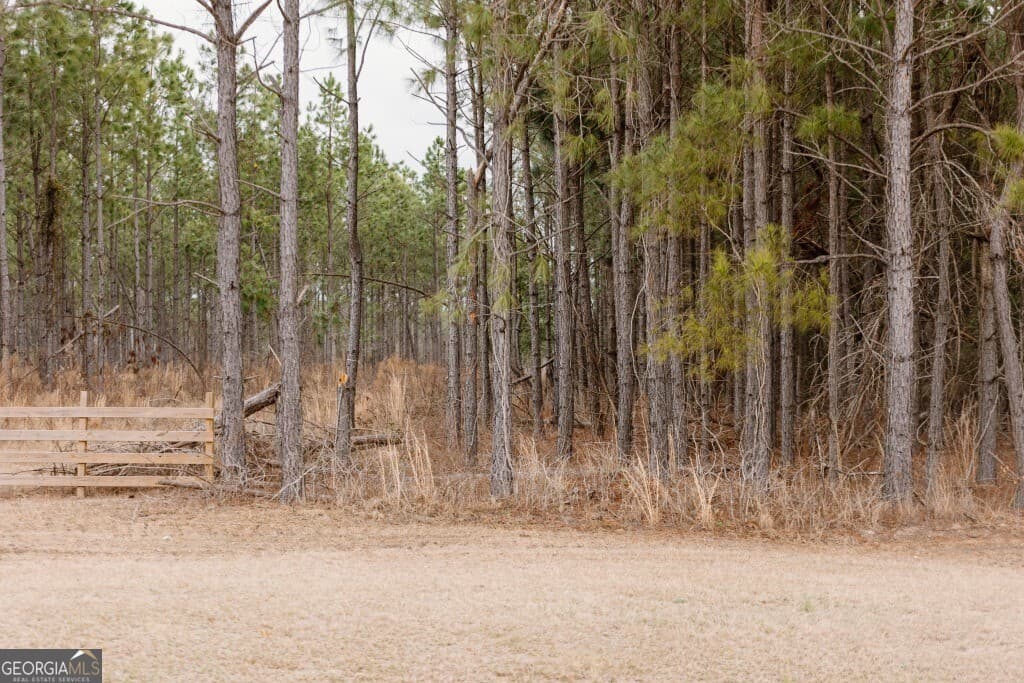 agriculture for sale at 0 Bunn Store Road TRACT 2, Midville, GA 30441 — photo 8