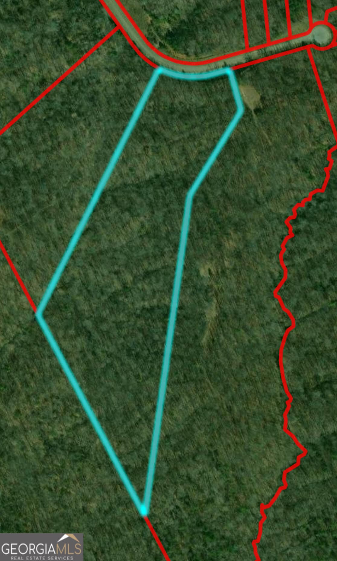 estate lot for sale at 3864 Reservoir Drive TRACT 21, Gainesville, GA 30507 — photo 4