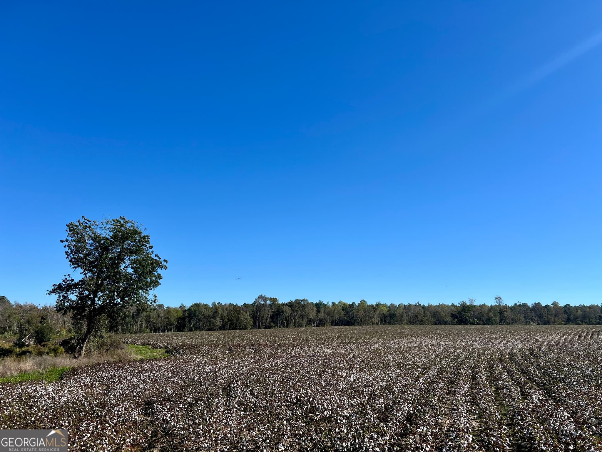 agriculture for sale at 0 Bowen Hill Road, Garfield, GA 30425 — photo 2
