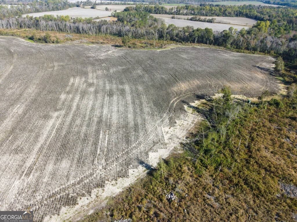 agriculture for sale at 0 Bowen Hill Road, Garfield, GA 30425 — photo 6