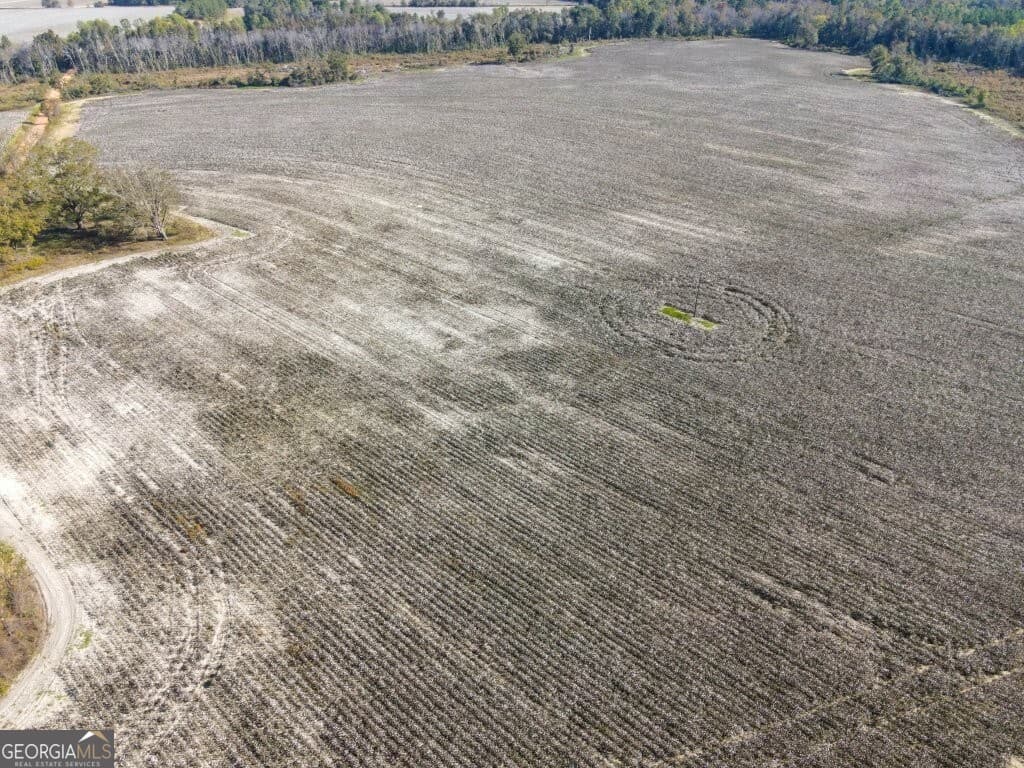 agriculture for sale at 0 Bowen Hill Road, Garfield, GA 30425