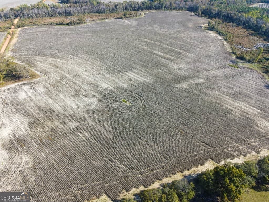 agriculture for sale at 0 Bowen Hill Road, Garfield, GA 30425 — photo 10