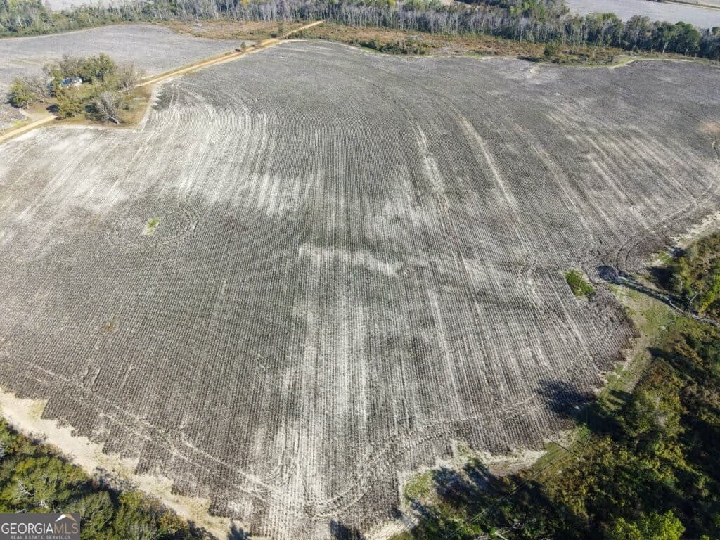 agriculture for sale at 0 Bowen Hill Road, Garfield, GA 30425 — photo 8