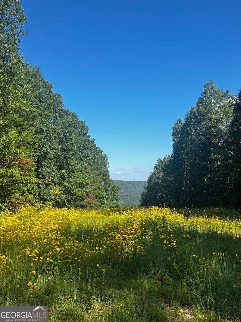unimproved land for sale at 0 Pocket Road, Whitwell, TN 37397 — photo 9