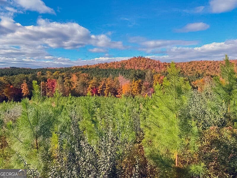 unimproved land for sale at 0 Pocket Road, Whitwell, TN 37397 — photo 10