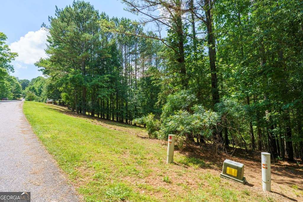 residential lot for sale at LOT 21 Loftis Mountain, Blairsville, GA 30512 — photo 6
