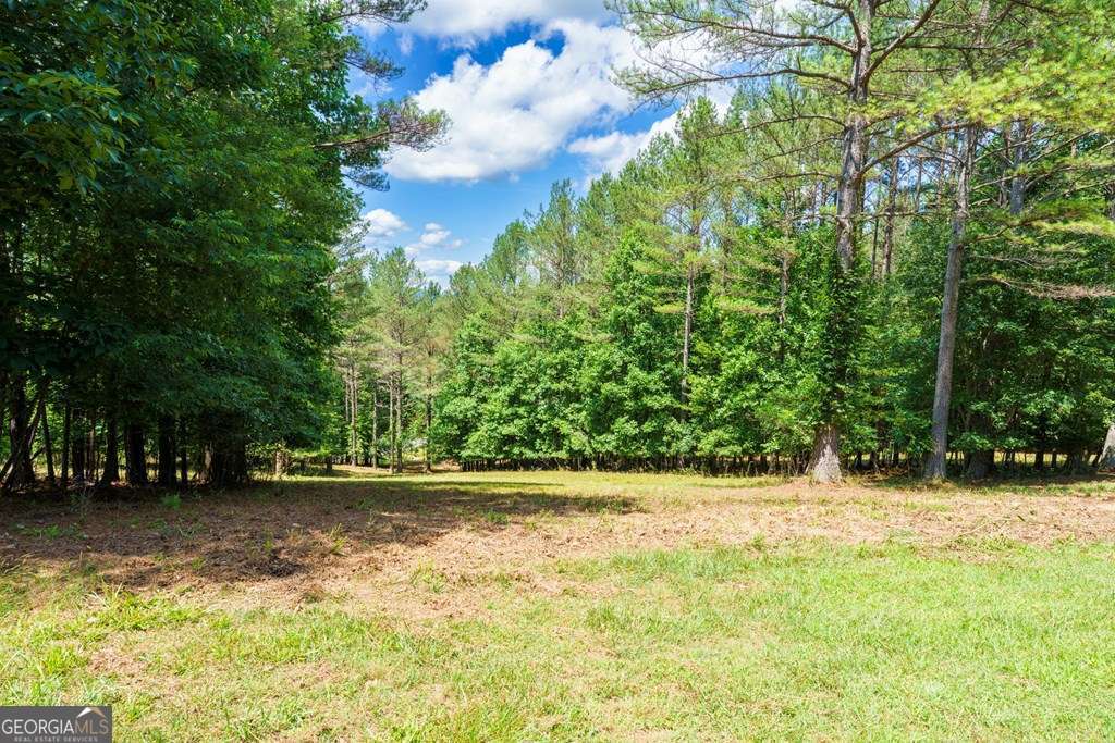 residential lot for sale at LOT 21 Loftis Mountain, Blairsville, GA 30512 — photo 7