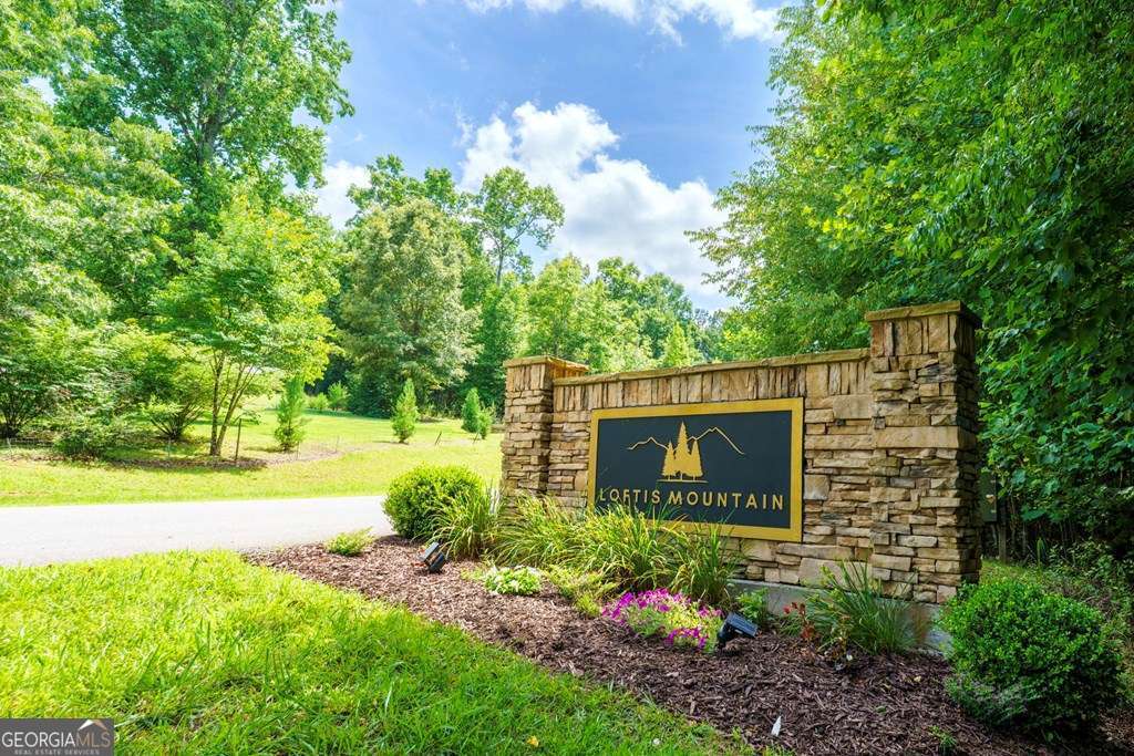 residential lot for sale at LOT 21 Loftis Mountain, Blairsville, GA 30512 — photo 3