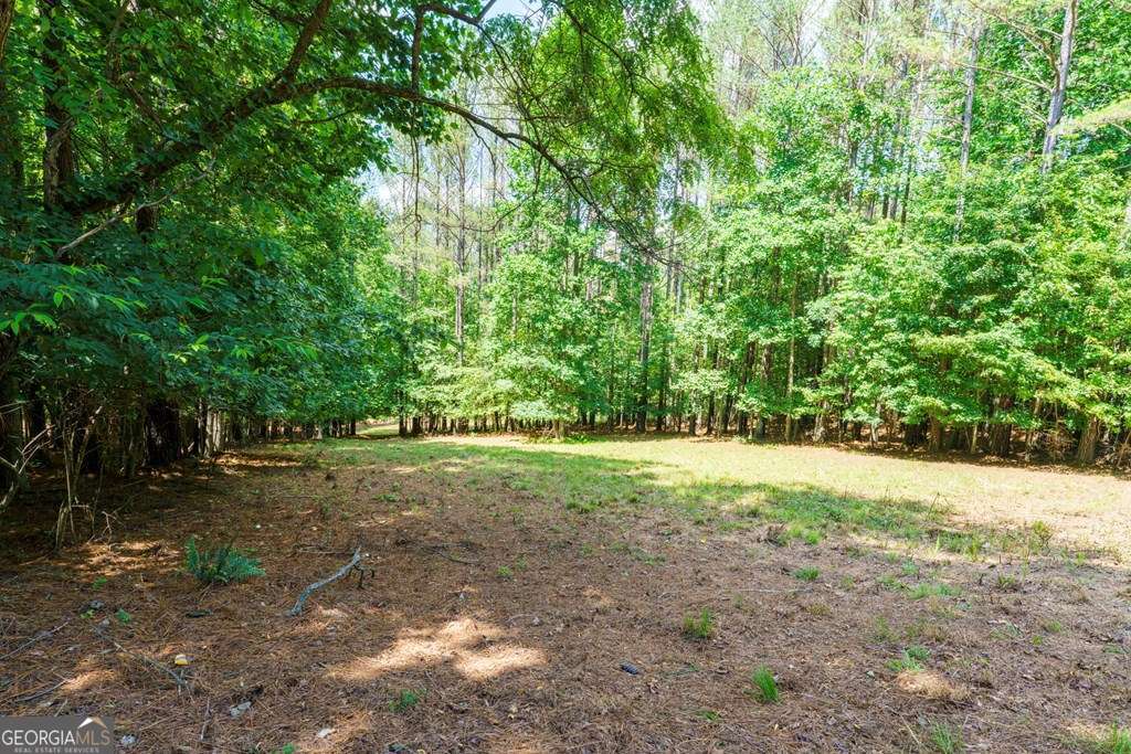 residential lot for sale at LOT 21 Loftis Mountain, Blairsville, GA 30512 — photo 5