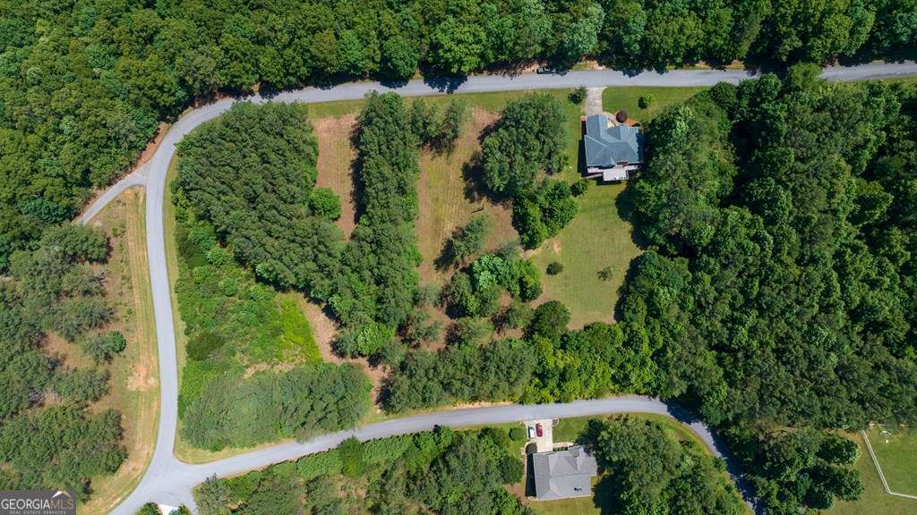 residential lot for sale at LOT 21 Loftis Mountain, Blairsville, GA 30512 — photo 9